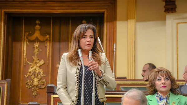  النائبة سحر طلعت