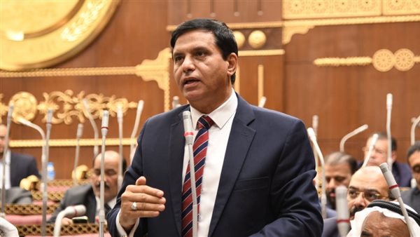 النائب اللواء طارق