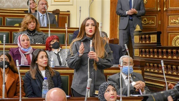 النائبة فاطمة سليم