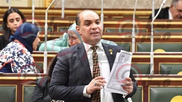 النائب علاء حمدي