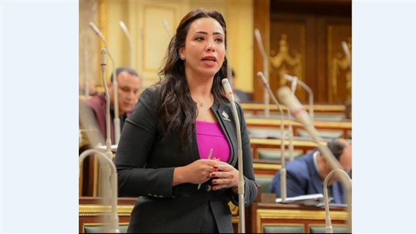 النائبة غادة علي