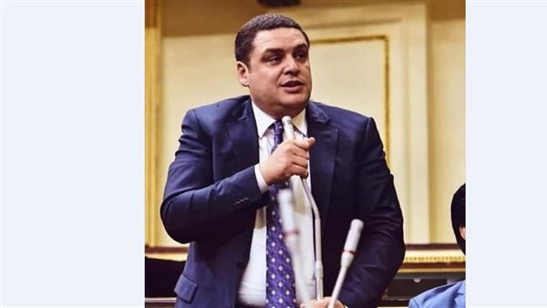  النائب حسام العمدة