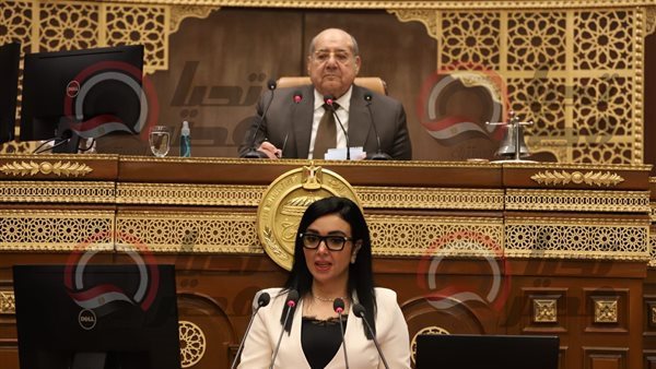  النائبة ريهام عفيفي