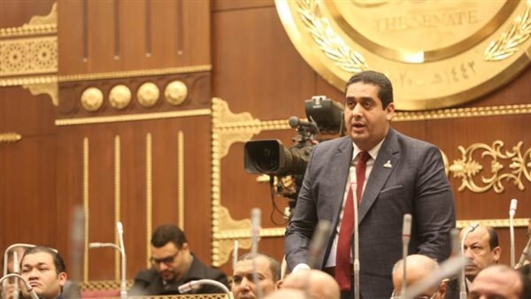 النائب وليد التمامي