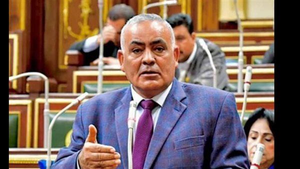 النائب لطفي شحاته