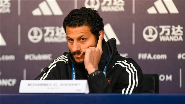 محمد الشناوي 