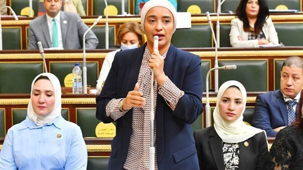 النائبة أميرة أبو