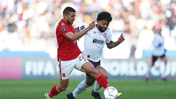 جانب من المباراة