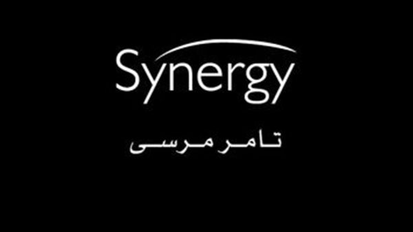 شركة سينرجي 