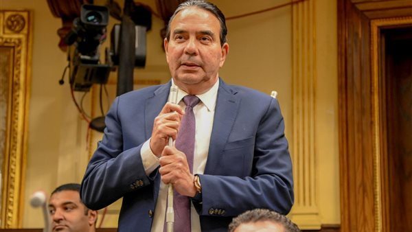 النائب أيمن أبو العلا