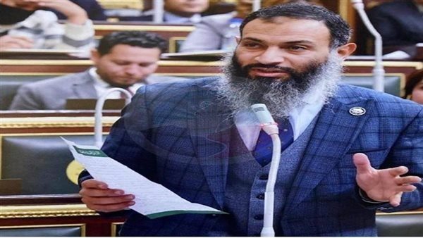 النائب أحمد حمدي