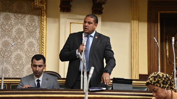 النائب محمد إسماعيل،