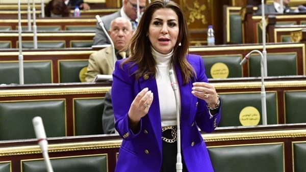  النائبة دينا عبدالكريم