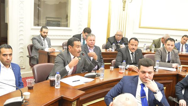 النائب محمد الجبلاوي