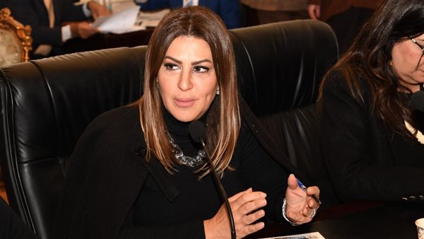 النائبة دينا عبد