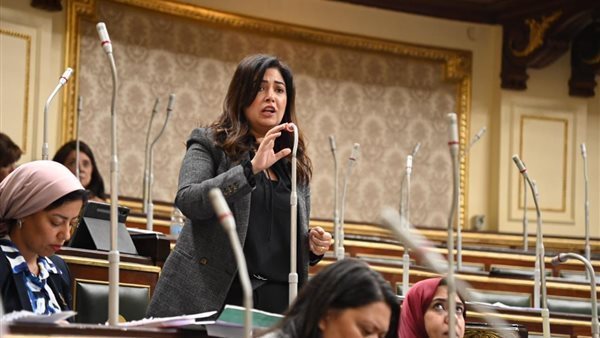  النائبة أميرة العادلى