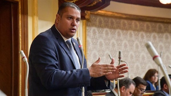 النائب محمد إسماعيل