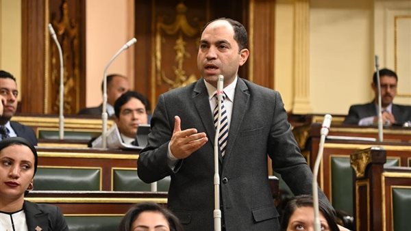 النائب عمرو درويش