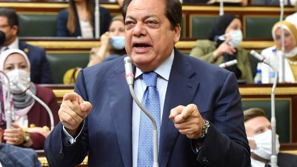 النائب محمد ابو العنين