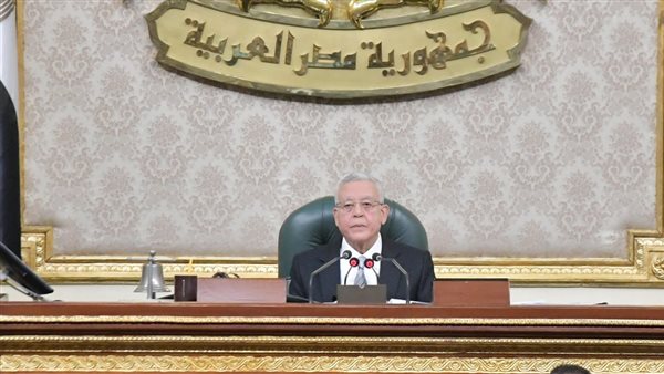 المستشار الدكتور