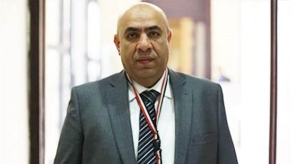 النائب علاء عبدالنبي