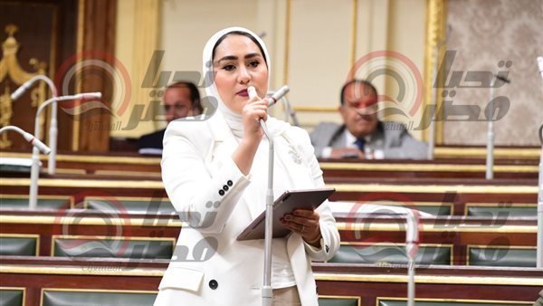 النائبة أية فوزي