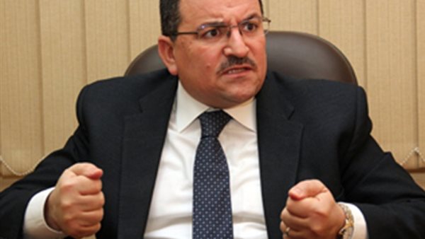 النائب- اسامة هيكل