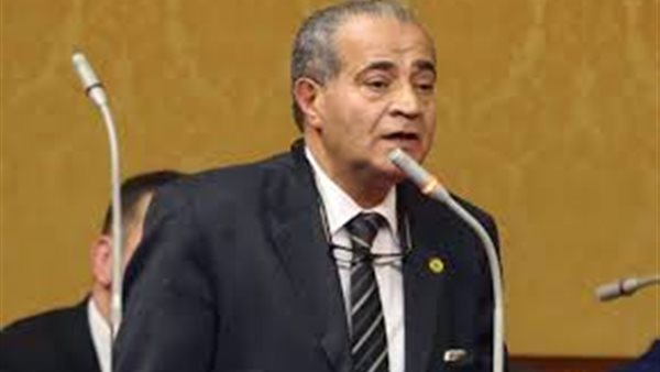 الدكتور على المصيلحى