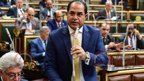 النائب سلمين وهدان