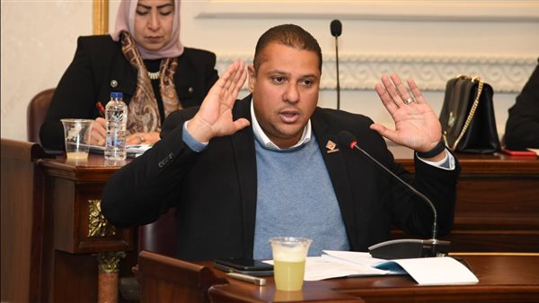  النائب محمد إسماعيل