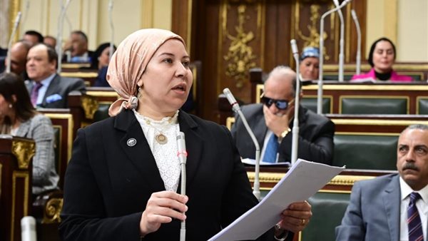  النائبة فايزة صالح