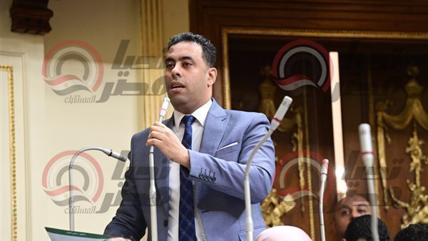 النائب أحمد فرغلي