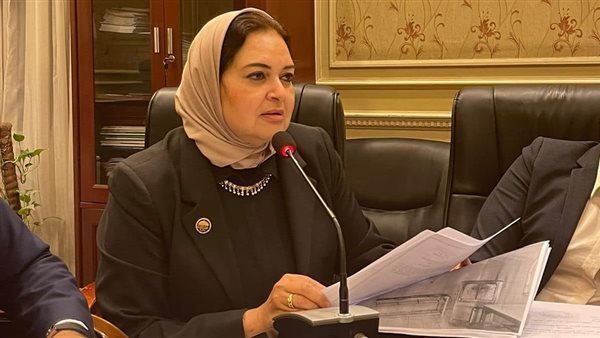 النائبة منى عمر