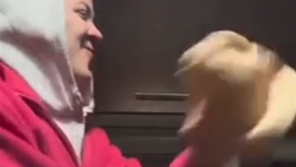 فرح أحمد _ أرشيفية