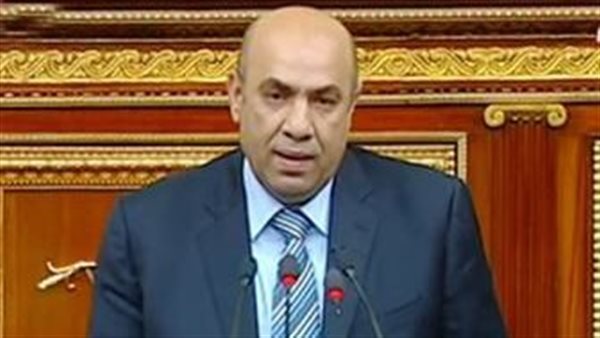 النائب علاء عبدالنبي