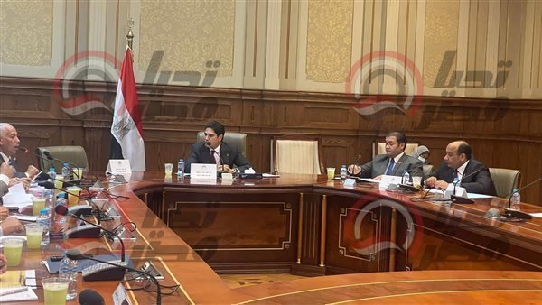  لجنة الشباب والرياضة