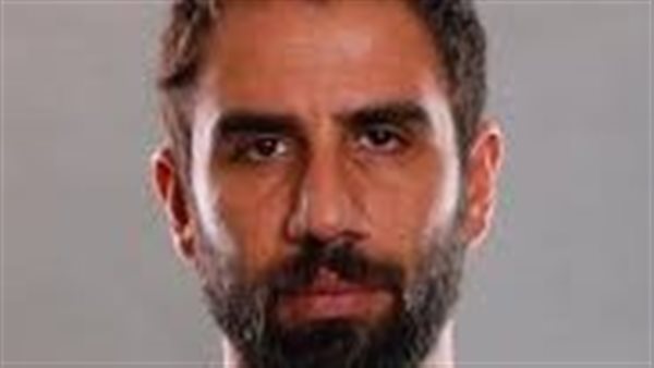 مينا النجار