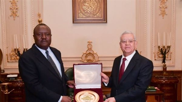 المستشار دكتور حنفي