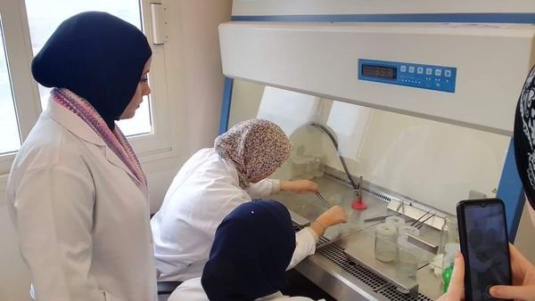 مدينة الأبحاث العلمية