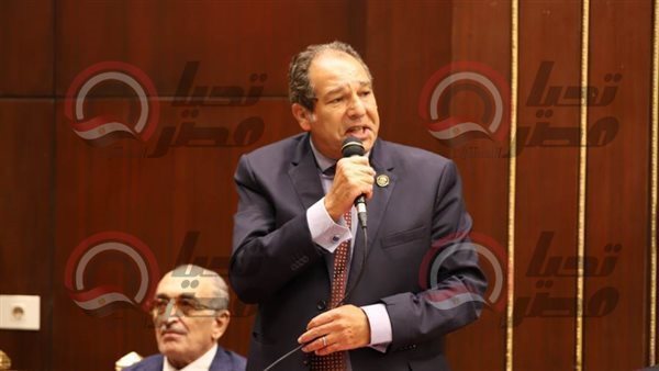 النائب حسام الخولي