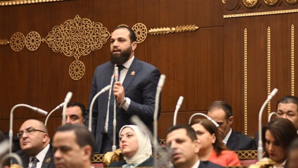  النائب محمود تركي