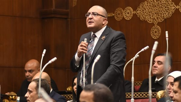  النائب عمرو حجاج