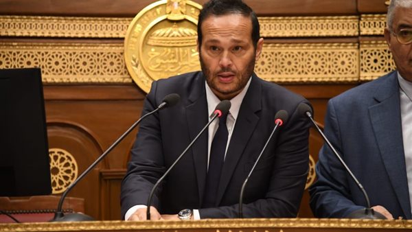 النائب محمد حلاوة