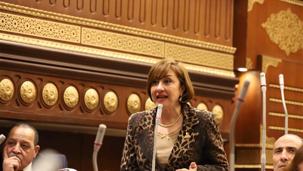  النائبة  كاميليا