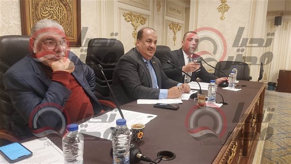 لجنة الشئون الاقتصادية