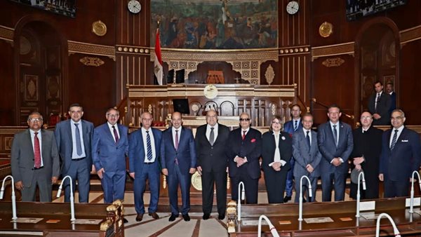 المستشار عبد الوهاب