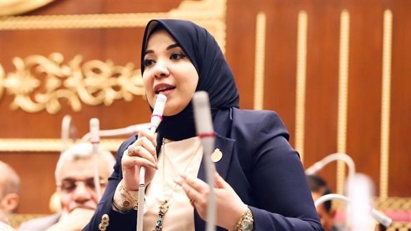 النائبة دينا هلالي