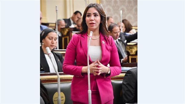 النائبة غادة علي