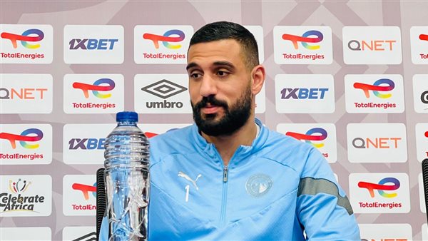 أحمد الشناوي 