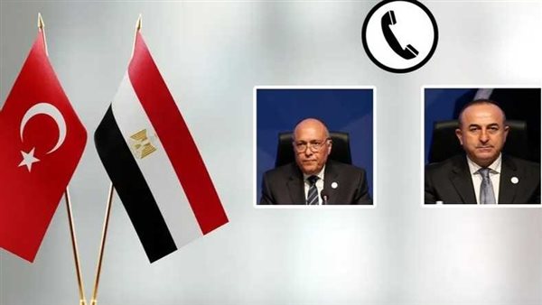 وزير الخارجية المصري